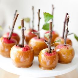 A foodie feast for the eyes. Tweeting the finest food photos every day  and always happy to RT beautiful culinary creations.