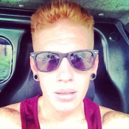 aberdeen_angus1's profile picture. 