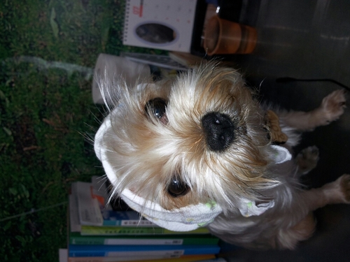 victoryhw's profile picture. 이루다