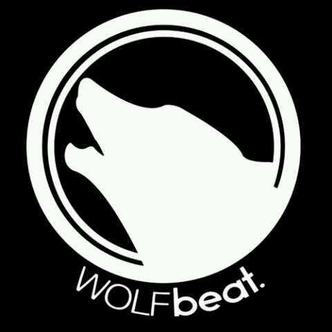 Party planer , event organizer | contact us 0812 24922978 | wolfbeatmanagement@gmail.com