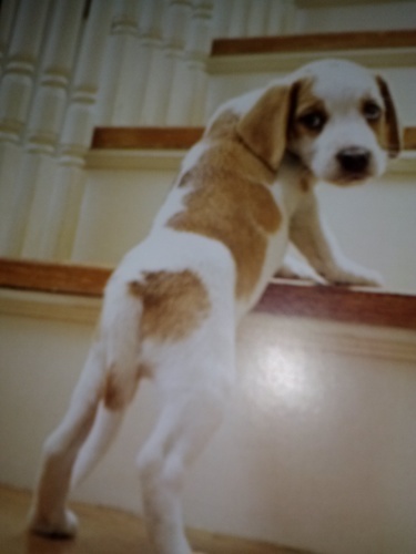 robertgirl94's profile picture. 