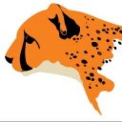 Cheetah conservation through breeding, education and reintroduction https://t.co/057a1Kt8Cs