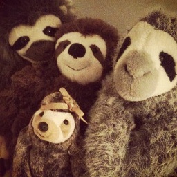 The official Twitter account for http://t.co/AXG0uMymP5. The blog for all the sloth goodies, facts, merch, pics and sloth love!