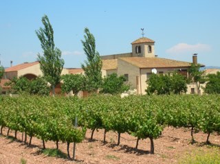 Cultivem la vinya i fem vins amb caràcter propi a Montblanc (DO Conca de Barberà). Enamorats de la nostra terra i del Trepat.