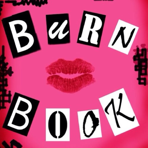 twiterburnbook's profile picture. If Regina George wrote the book herself, why would she refer to herself as a fugly slut