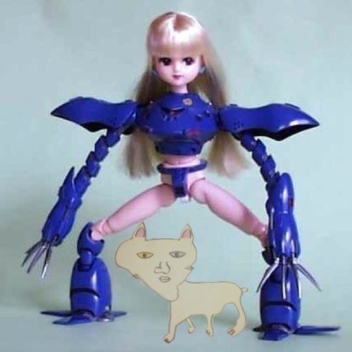 いまぷーさんのプロフィール画像