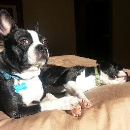 zappulla's profile picture. 