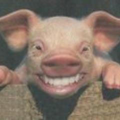 betobentos5's profile picture. 