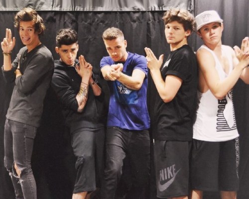 15, Irish, fell in love with 5 boys in x factor 2010 known as ONE DIRECTION!! Seen them live 24/3/2011 and 13/3/2013 follow me i follow back :)