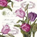 Mónica Trillo - @monica1810 - Twitter