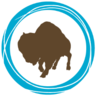 bg_parks's profile picture. With 50 beautiful parks and wonderful facilities, the Buffalo Grove Park District serves the recreational needs of the Buffalo Grove community.