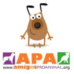 AmigosProAnimal's profile picture. Defensores de los animales. Asociación sin fines de lucro. Protección y rescate de animales