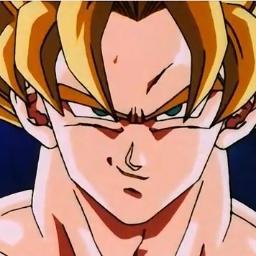 Hello people of earth! The savior of the universe and the strongest saiyan to be brought up on earth. I will protect this planet its my home. (DBZRP)