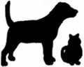 Our mission is to provide competent and compassionate veterinary health care to all of our patients and their families.