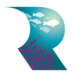 Reef Resilience (@reefresilience) Twitter profile photo Reef Resilience (@reefresilience) Twitter profile photo