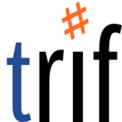 TalentRif's profile picture. Our rigorous four-step process is designed to efficiently achieve your specific talent needs.