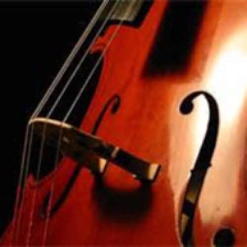 Orchestra Teacher
