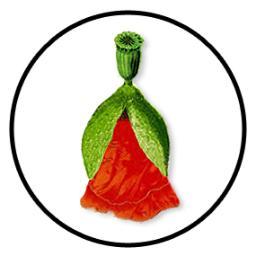 I'm the king Coquelicot, king of all poppies and of (most) spring flowers. I'm here to tell you the secret of #florigami
