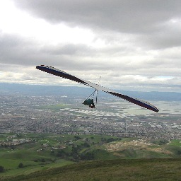 Speed2Fly's profile picture. 