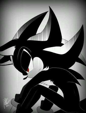 soy un erizo emo soy la forma de vida definitiva molestame y moriras puedo usar el control chaos y no recuerdo nada de mi pasado solo recuerdo a Maria