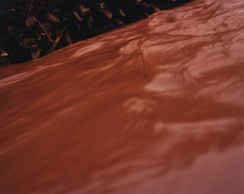 Jem Southam is a photographer who lives in  Exeter, England