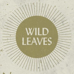 Wild Leaves is an American Folk-Rock Band