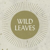 Wild Leaves (@wearewildleaves) 's Twitter Profile