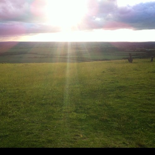 Metholis's profile picture. 