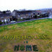 Muirhouse+SalvesenCC (@muirhousesalvcc) Twitter profile photo