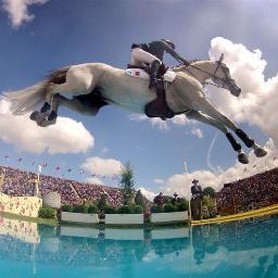 EquineProblems's profile picture. Just another anon equestrian except with a dash of self respect and class ;)