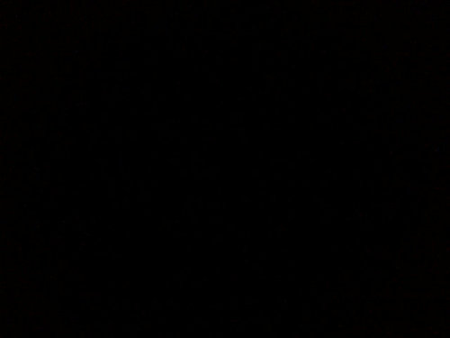 palesachelsea's profile picture. 