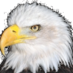 HESPTO (@heseaglespto) Twitter profile photo HESPTO (@heseaglespto) Twitter profile photo