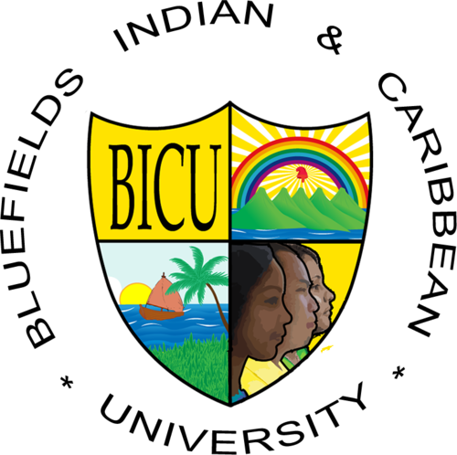 La Bluefields Indian and Caribbean University es una Universidad Creado por los Profesioales Indigenas de la Costa Sur de Nicaragua, para los pueblos Indigenas