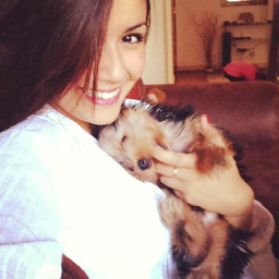 LindasDeSteffi's profile picture. « {@Steffi_Mendez} Una hermosa persona que se robo nuestro corazón,la  apoyamos en las buenas & malas ,siempre tendrá nuestro apoyo incondicional♥'»