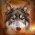 Astro Wolf (@astrowolfd) Twitter profile photo