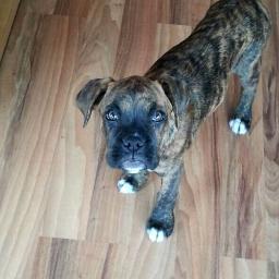 jaschien's profile picture. farmacia hospitalaria y farmacologia