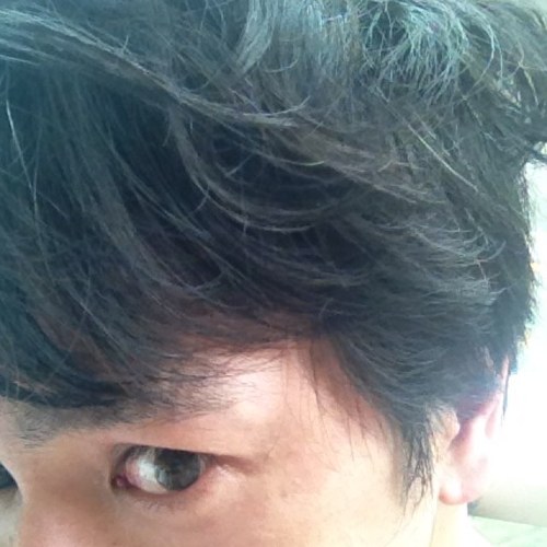 切り取りたい被写体をUPするだけの アカウント ですよ❗