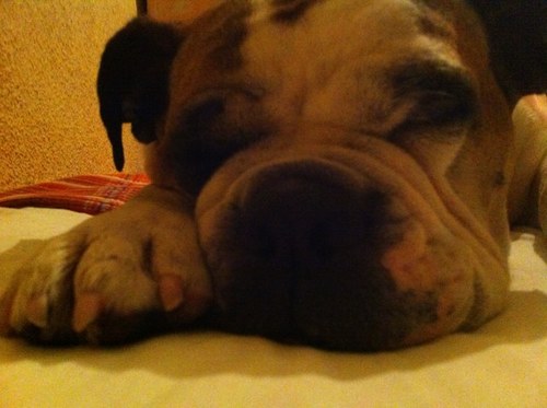 Carmen el amor d mi vida!!
