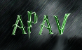 APAV_AntiVirus's profile picture. Indonesian AntiVirus Protection