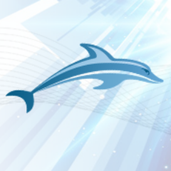 Bespoke web application development, Business Intelligence,  Business consulting, IT Services & products development.