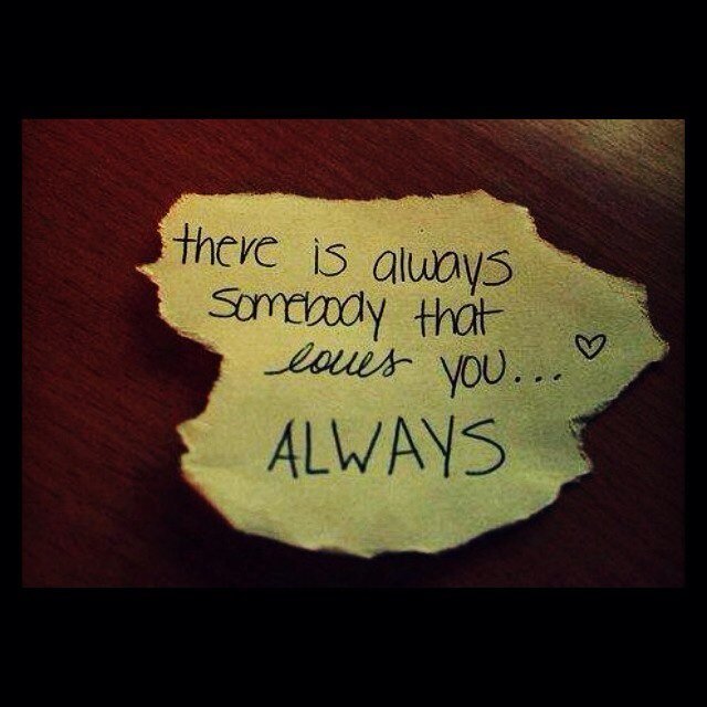 portakalkedi's profile picture. 