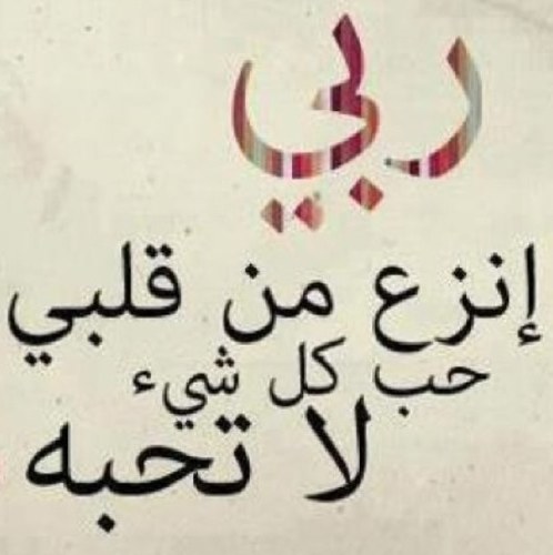 • • هذا الحساب داعي الى الله ورضوانه • • أتمنى أن تنال الاستفادة من هذا الحساب • • والشكر لله على توفيقه. لاتنسى ♻️❤️ أخي وأختي