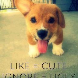 ItisDay4's profile picture. i am a mother of a 21 year old have the best mom in the world  love my dog and my man and my bestfriend.  dont like any drama or b.s