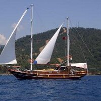Semih Gülpınar (@felix0606) 's Twitter Profile