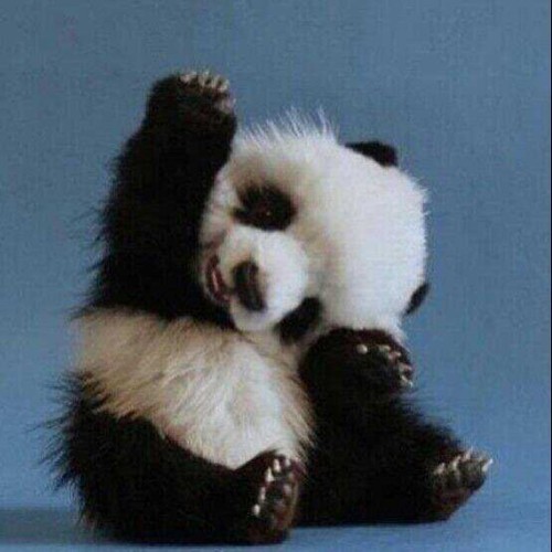 mommao1's profile picture. 