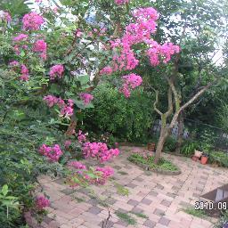 I like bird watching and gardening,
I have five grandchildren.