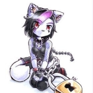 Felix_Mao_kat's profile picture. I'm Felix, Felix the cat. YOUR SO FLUFFY! #female all i remember is hitting my head...... Oh well, this is my new life.