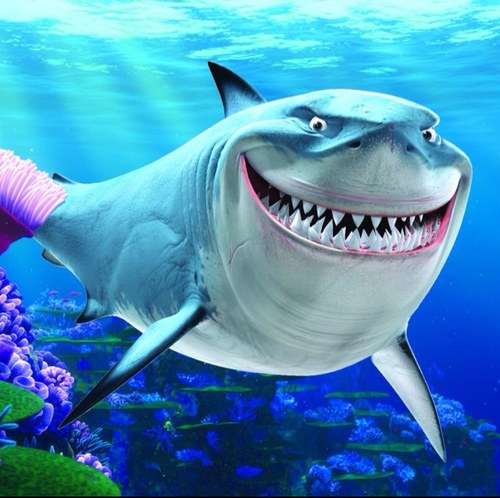 TheNames_Bruce's profile picture. Fish are friends. Not food