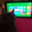 Martha Combs - @MarthaCombs17 - Twitter