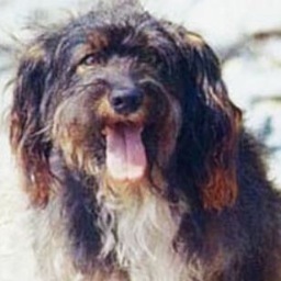 yoPulgoso's profile picture. Pa' su mecha